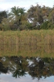 LV reflection 5 